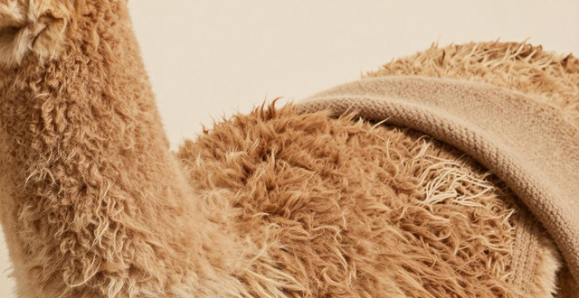 羽绒服面料英文及常用服装面料英文解读，down含义有不同