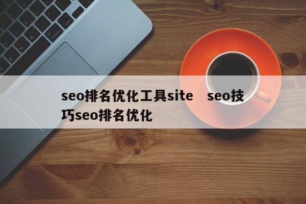 seo排名优化工具site   seo技巧seo排名优化